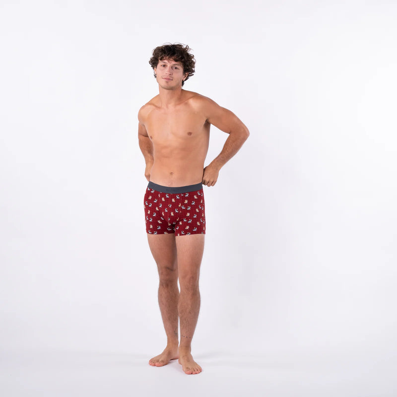 Boxer coton Marcel
