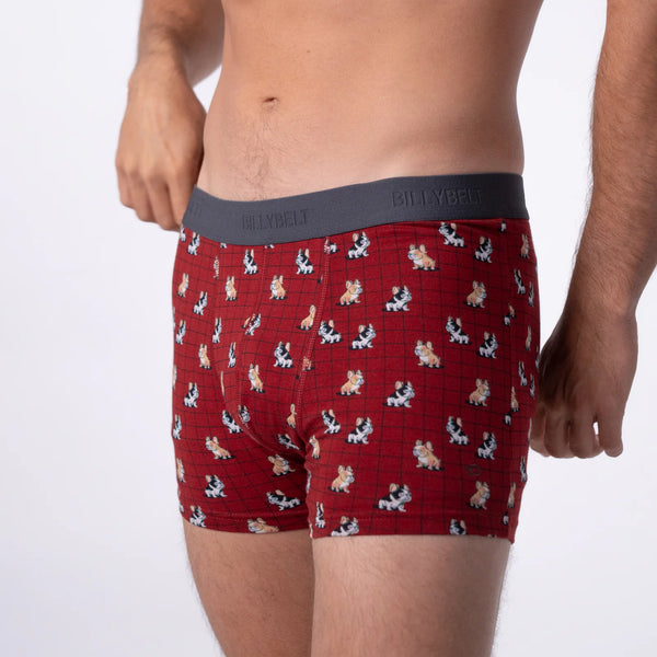 Boxer coton Marcel